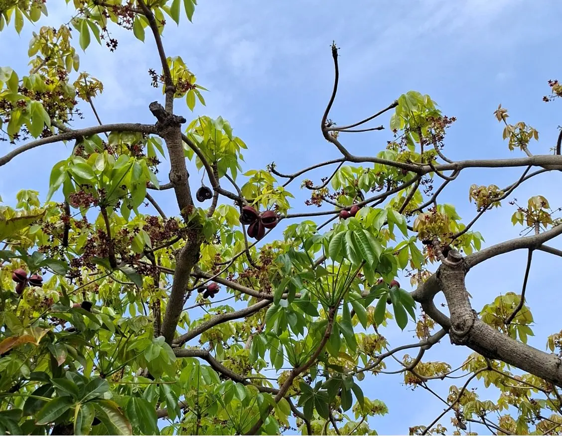 圖片來源:臺北市政府