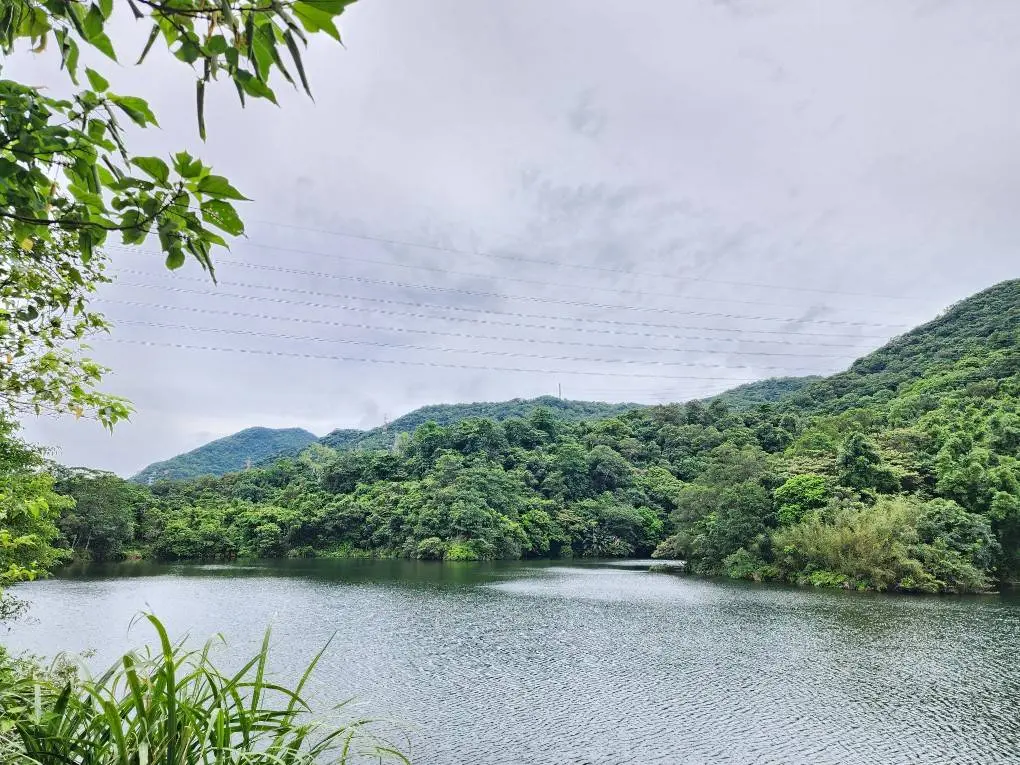 圖片來源:新北市政府