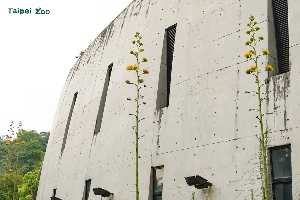 圖片來源:臺北市政府