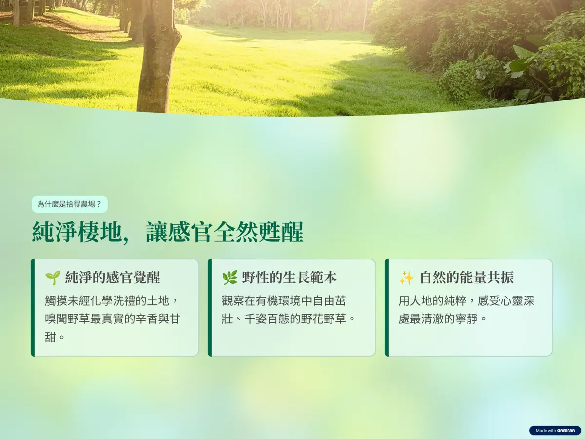 圖片來源:臺北市文化快遞