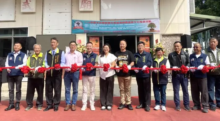 鹽水走春新玩法！武廟賞絕美盆栽，白天看展晚上逛燈節，一趟玩遍精華