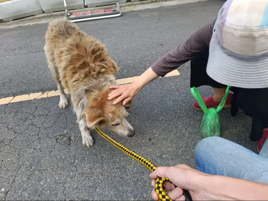 圖片來源:新北市政府