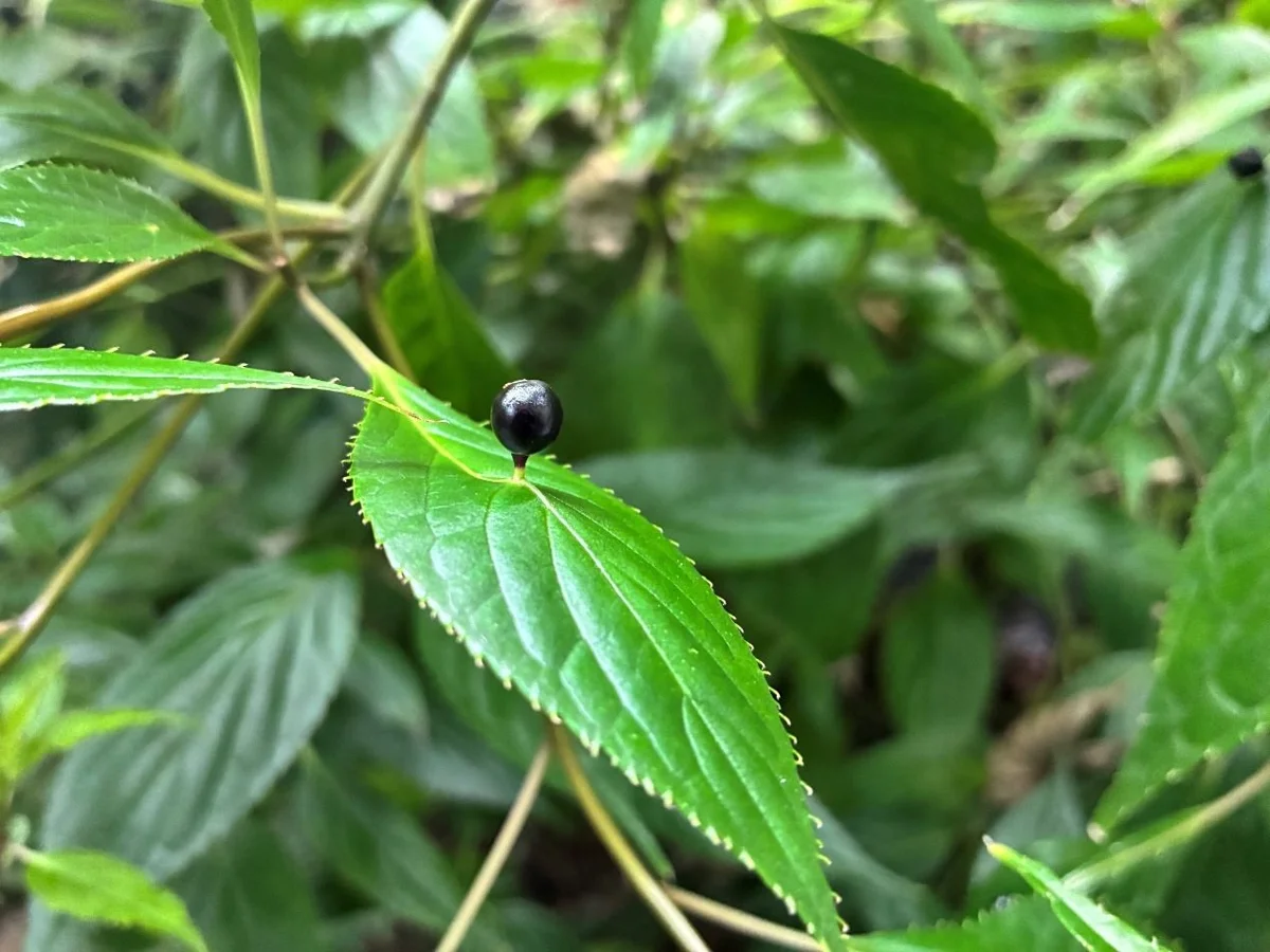 圖片來源:臺北市政府