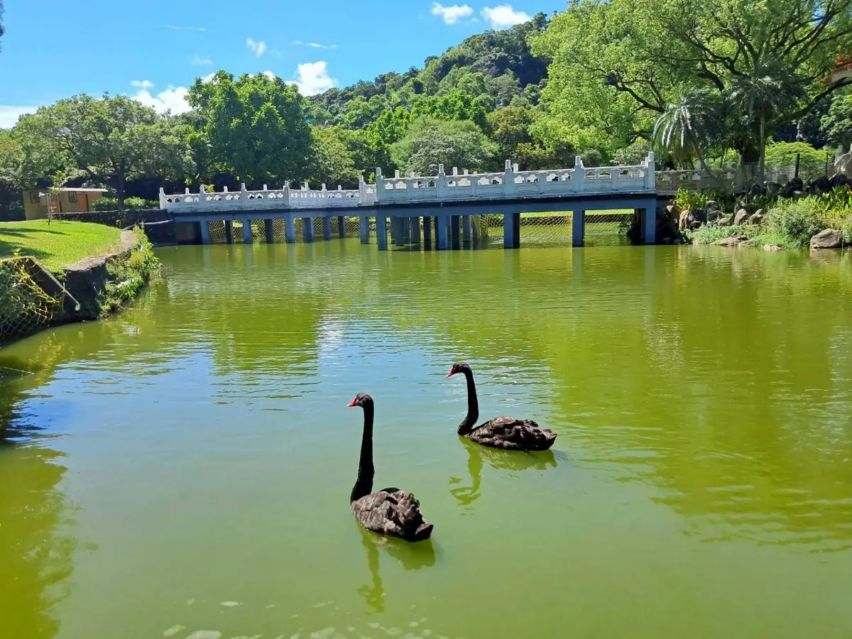 圖片來源:臺中市政府