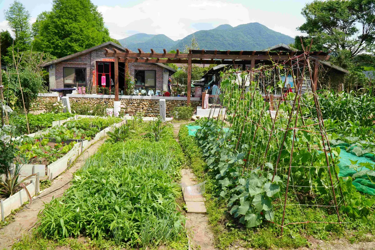 圖片來源:新北市政府