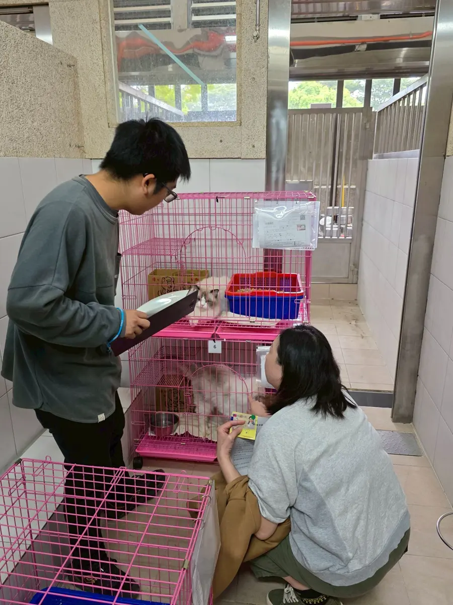 圖片來源:新竹縣政府