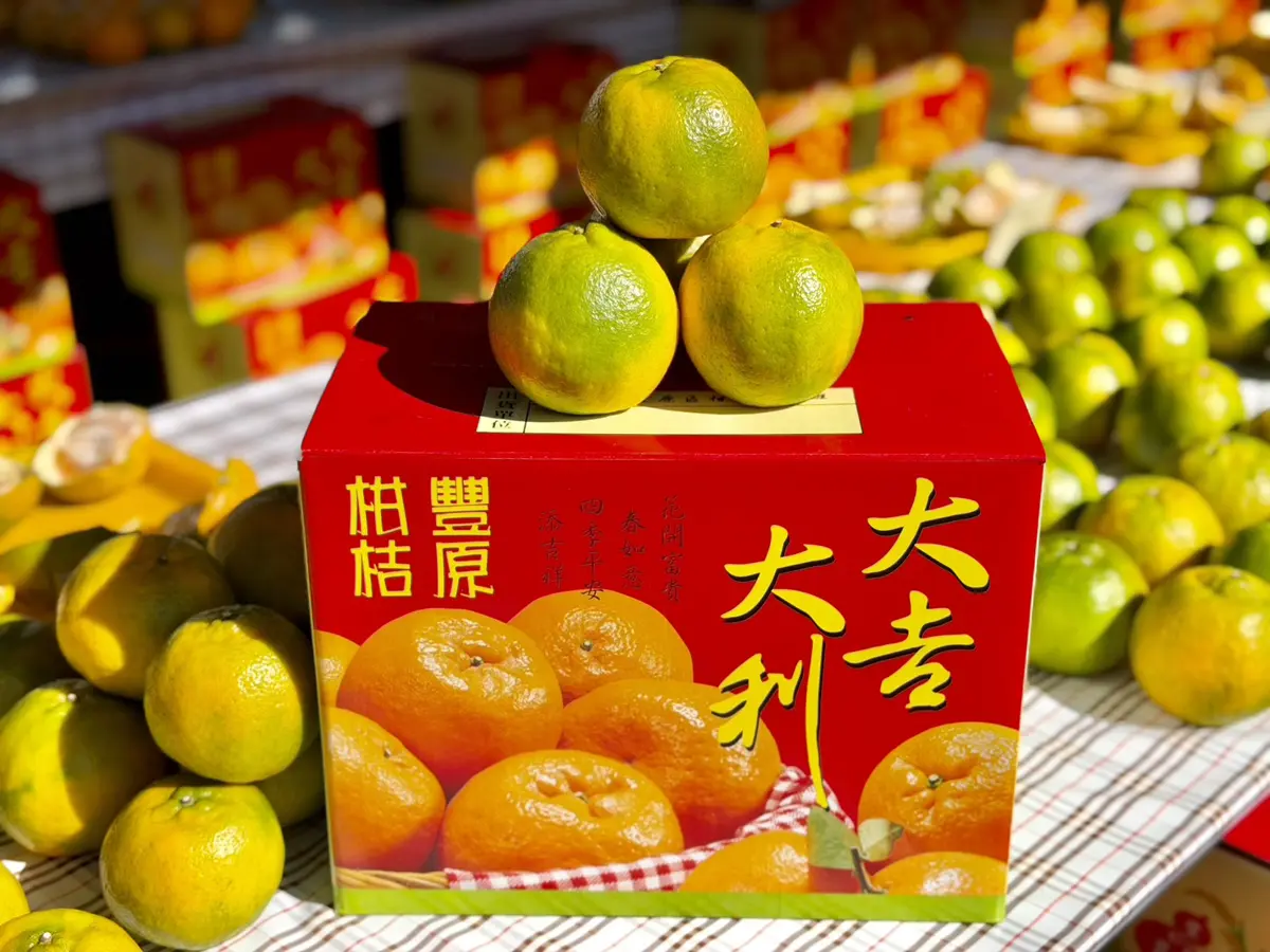 圖片來源：臺中市政府