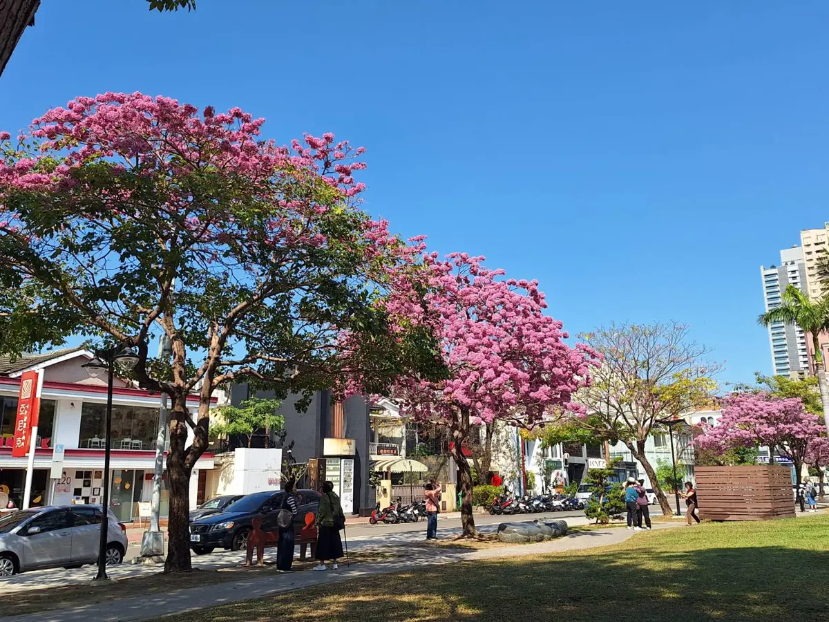 圖片來源:臺中市政府