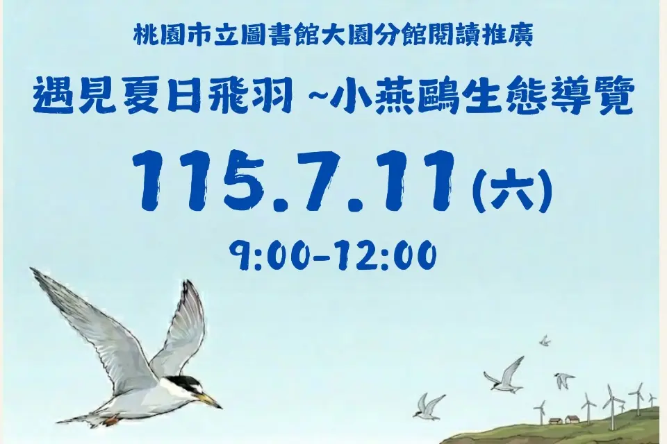 【大園免費活動】暑假必去!「遇見夏日飛羽」小燕鷗生態導覽開放報名,名額有限快搶!