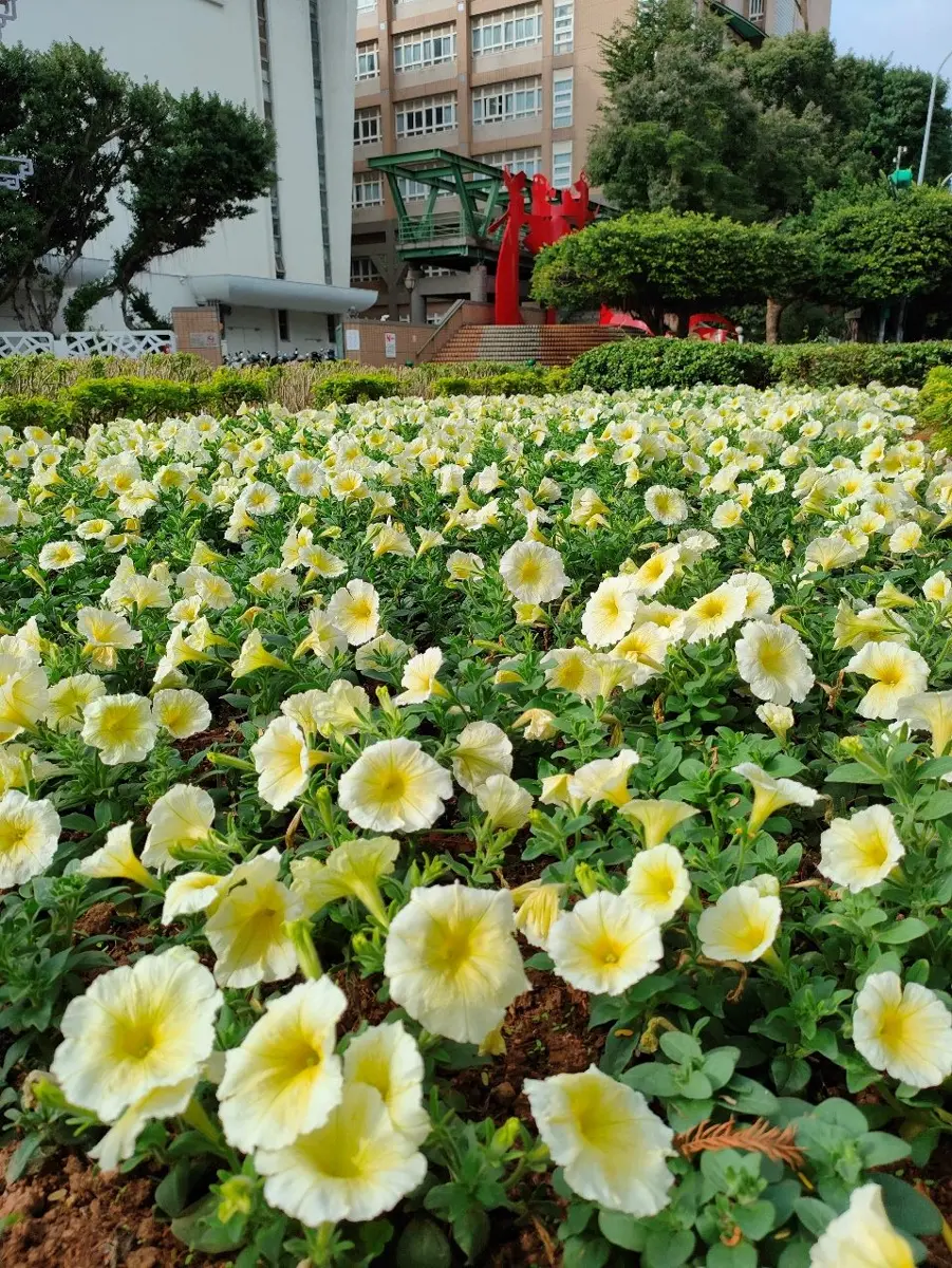 圖片來源:臺北市政府