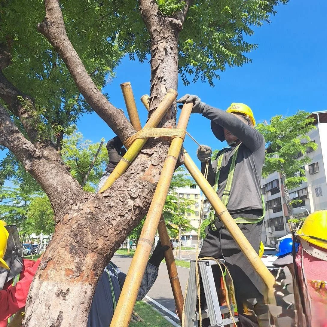 圖片來源:高雄市政府