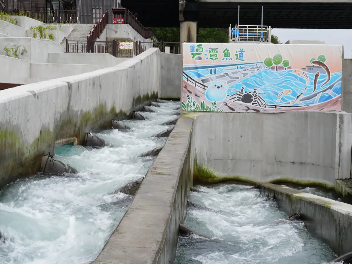 圖片來源:新北市政府