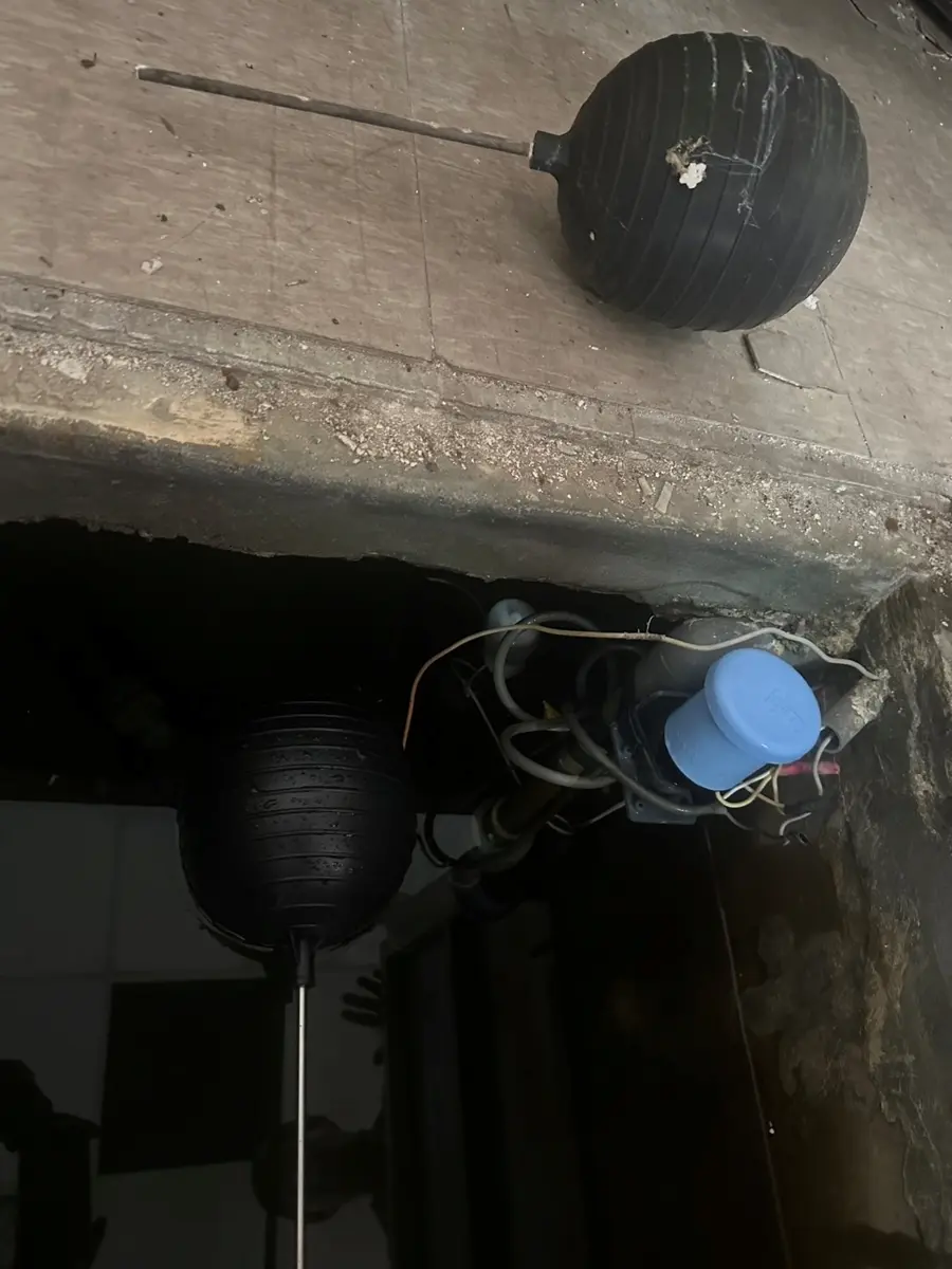 圖片來源:新北市政府