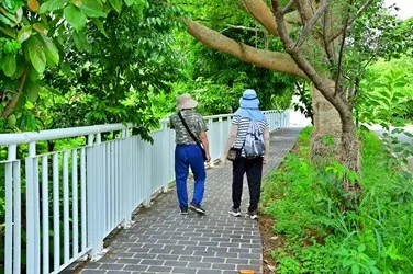 圖片來源:臺中市政府