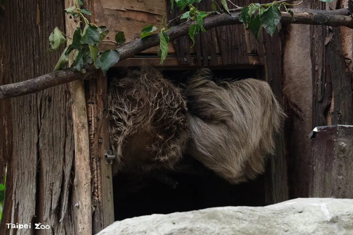 圖片來源:臺北市政府