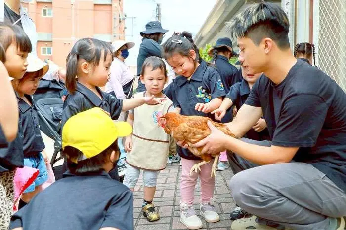 烈嶼萌娃出動!上岐附幼「土雞探險」趣,從撿蛋到嚐鮮完整體驗