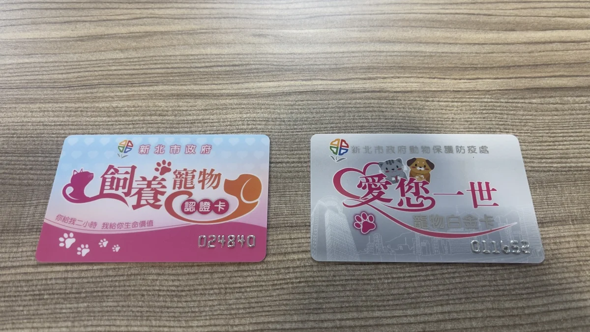 汪界模範生求包養!板橋「史酷比」等家一年,新北動保處祭豪華嫁妝找主人