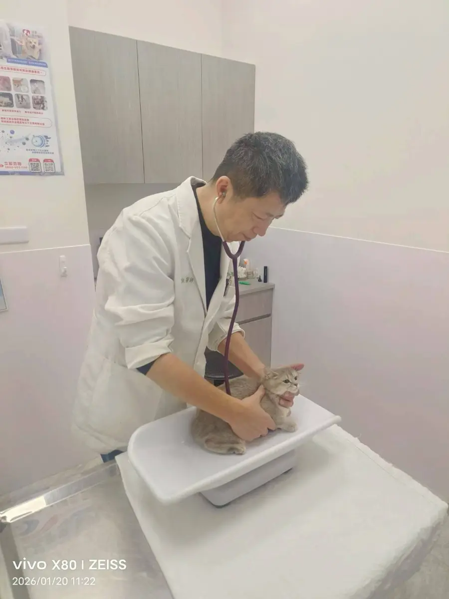 毛孩過年不孤單!台中春節服務破5千隻、救援近百件展現暖心成果