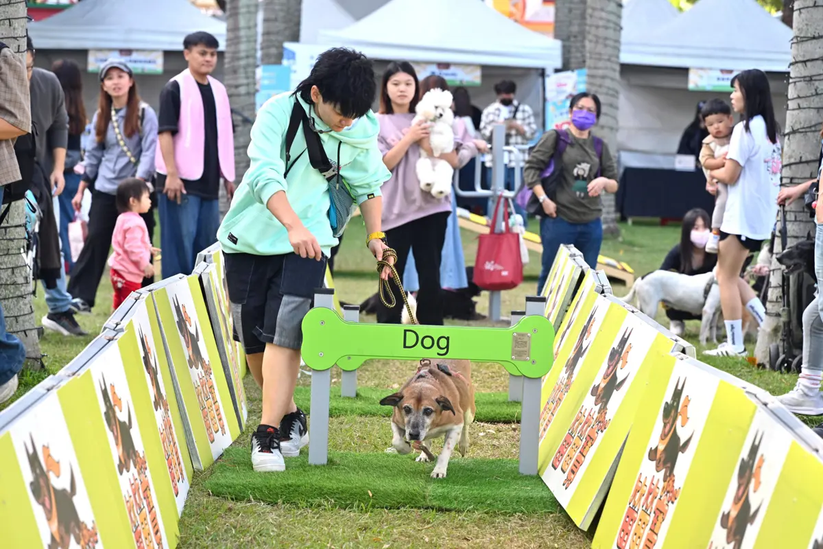 圖片來源:新北市政府