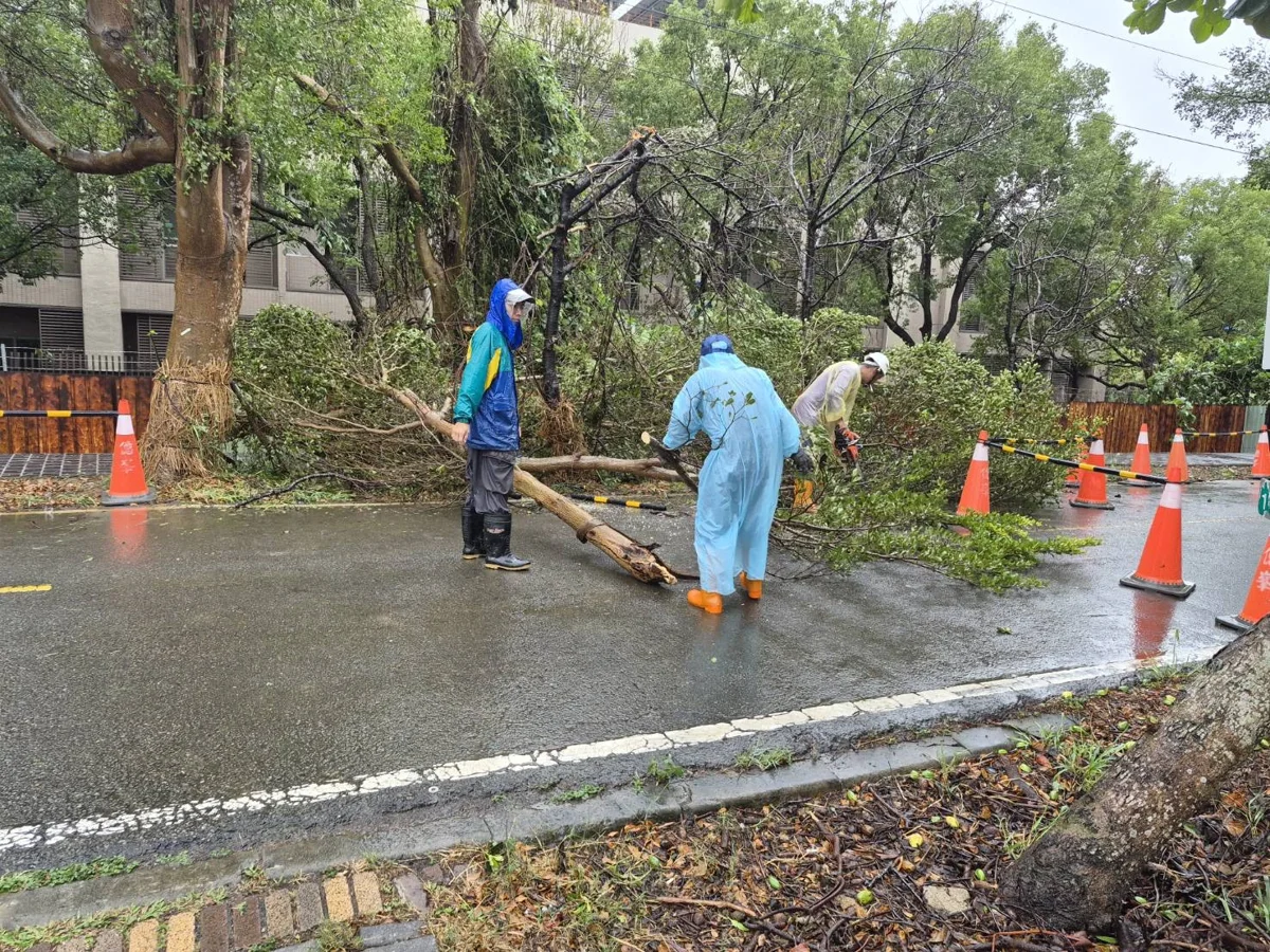 圖片來源:臺中市政府