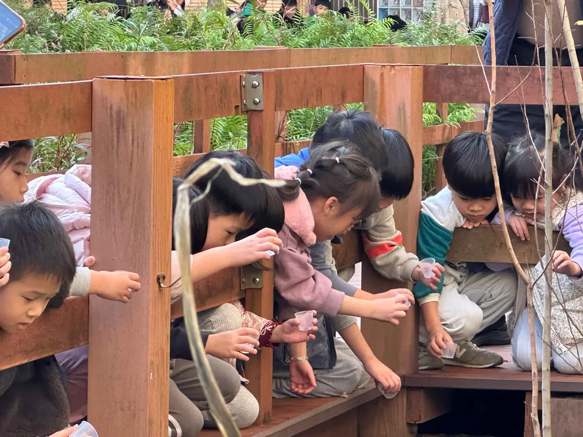 信義區驚見螢光!台北101腳下賞螢秘境,信義國小「火金姑」夢幻歸來