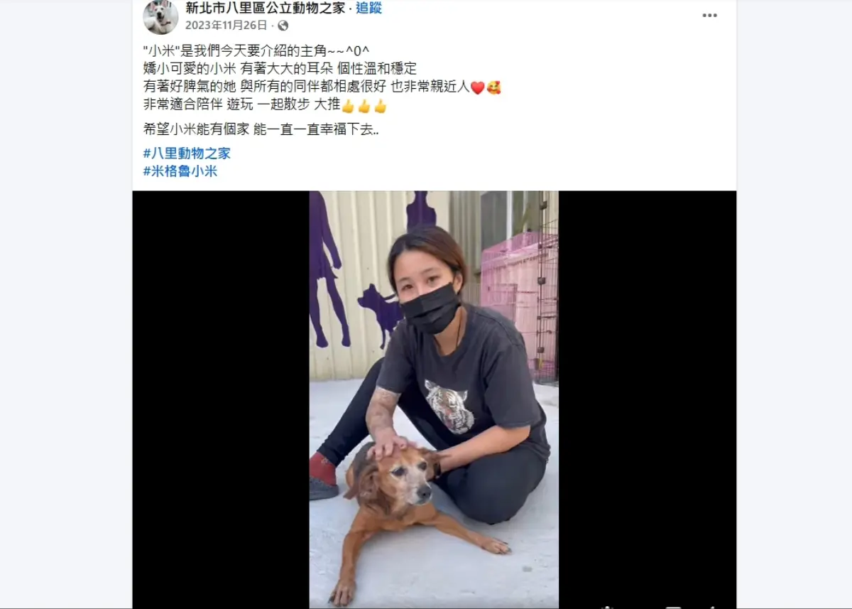 圖片來源:新北市政府