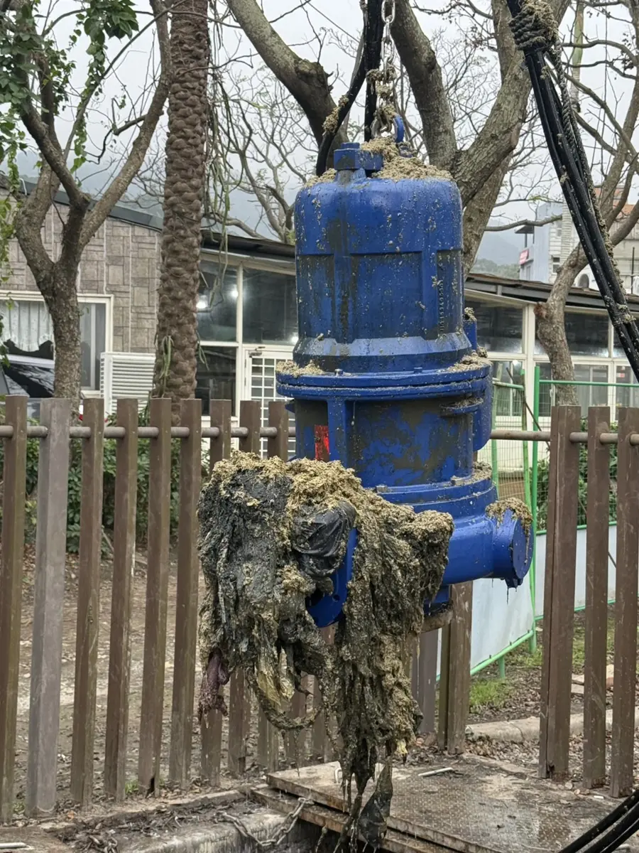圖片來源:新北市政府