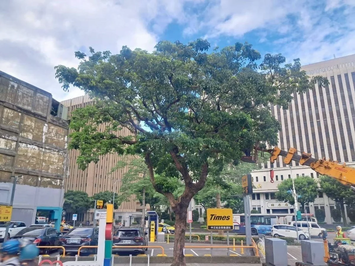 圖片來源：臺北市政府