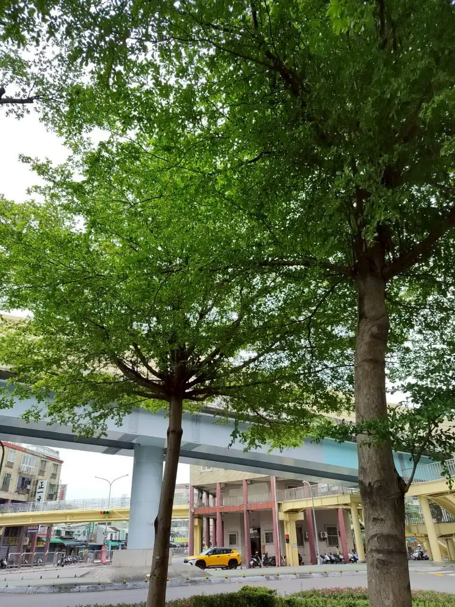 圖片來源:臺北市政府