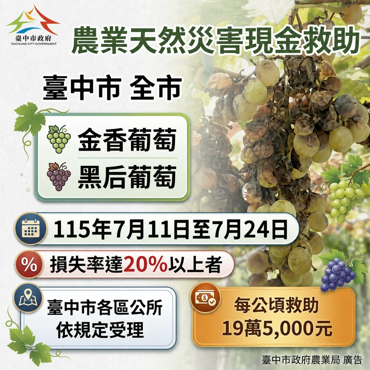 圖片來源：臺中市政府
