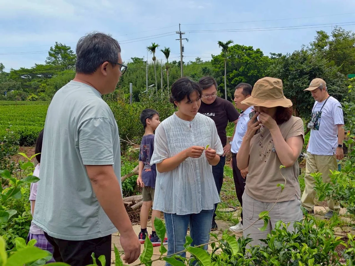 [2026最新] 苗栗茶紅到歐洲！國際評審親訪八甲茶區，大讚「這款茶」具英國頂級市場潛力