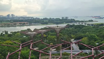 圖片來源:臺中市政府