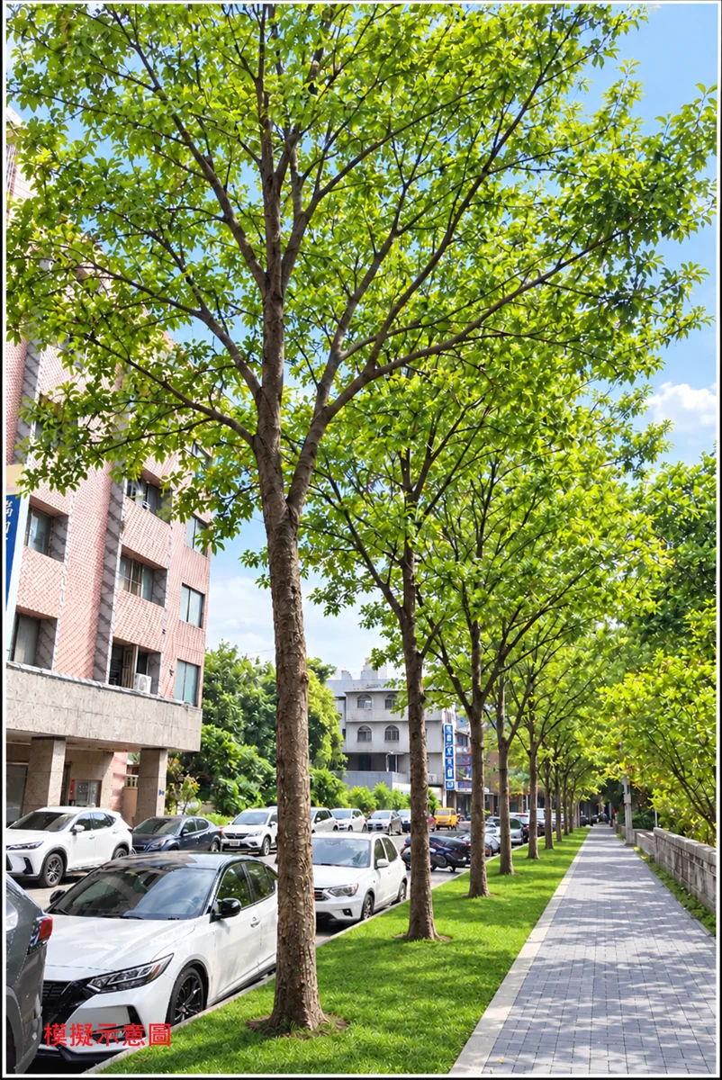 圖片來源:臺中市政府