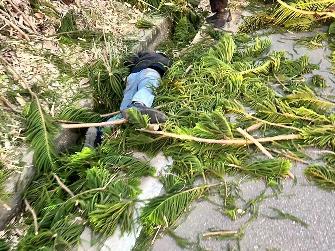 驚險瞬間!苑裡機車騎士遭倒塌路樹擊中摔落水溝 4名警消與民眾合力搶救脫困