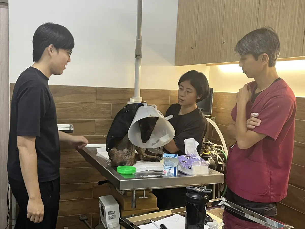 圖片來源:新北市政府