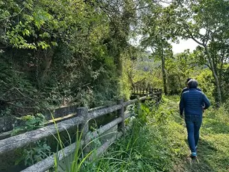 圖片來源:臺中市政府