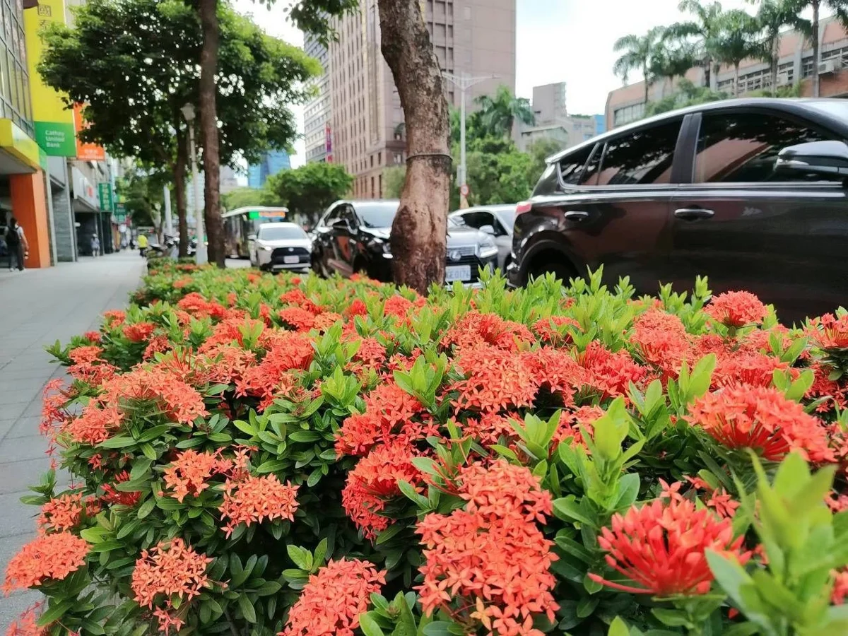 圖片來源：臺北市政府