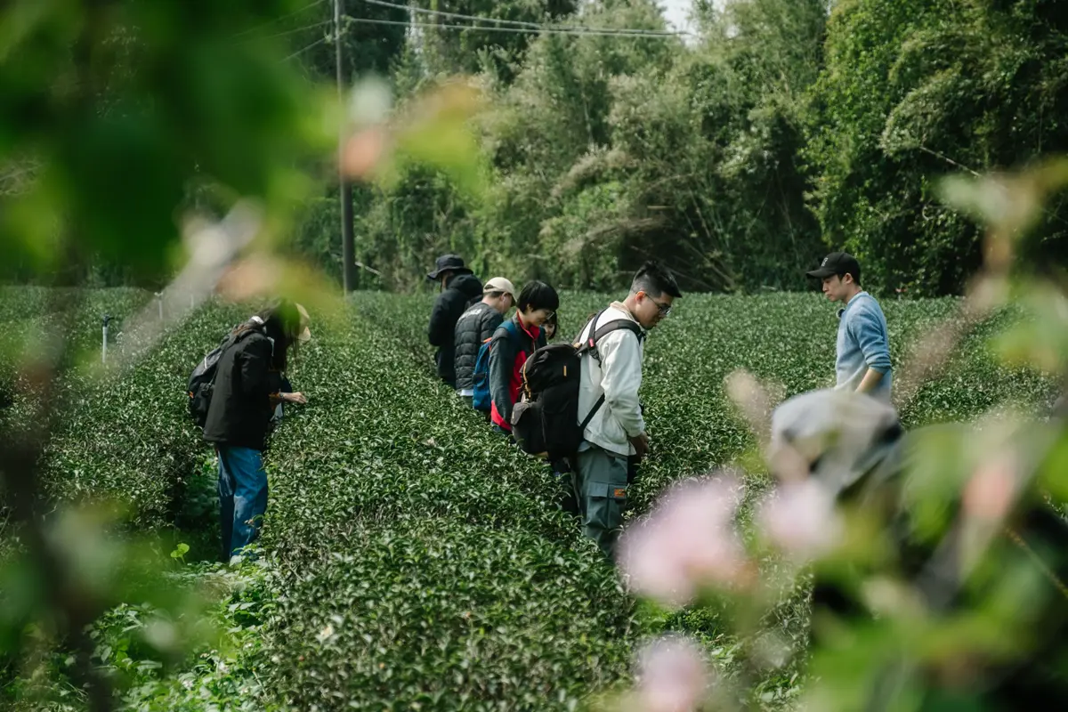圖片來源:新竹縣政府