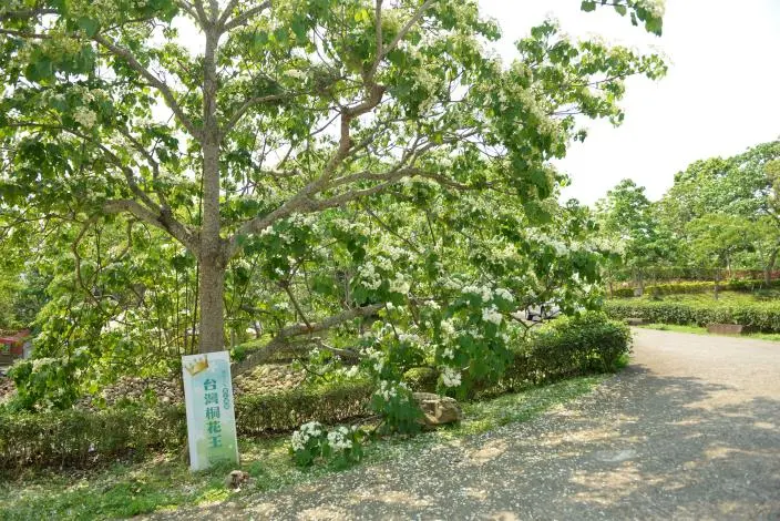 圖片來源:苗栗縣政府