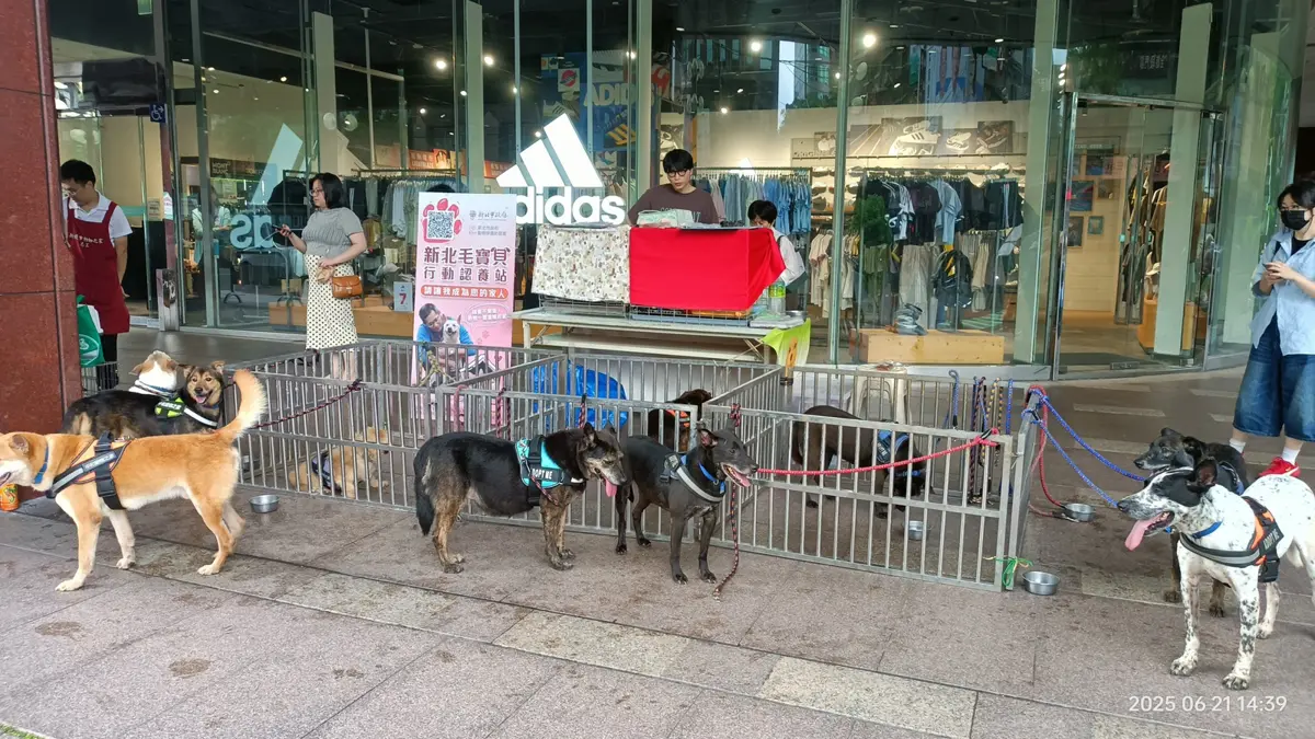 圖片來源:新北市政府