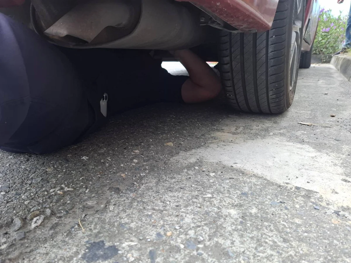 幼貓躲車底喵喵叫!臺東寶桑警「趴地鑽底盤」成功救援暖翻民眾