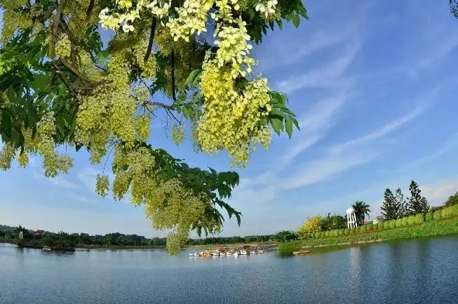 圖片來源:臺南市政府
