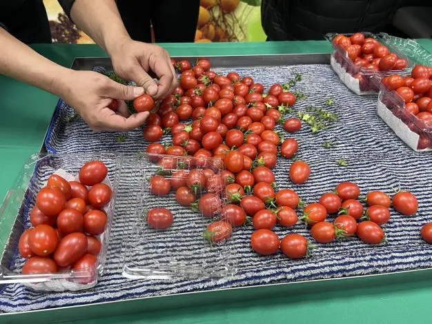 圖片來源:臺南市政府