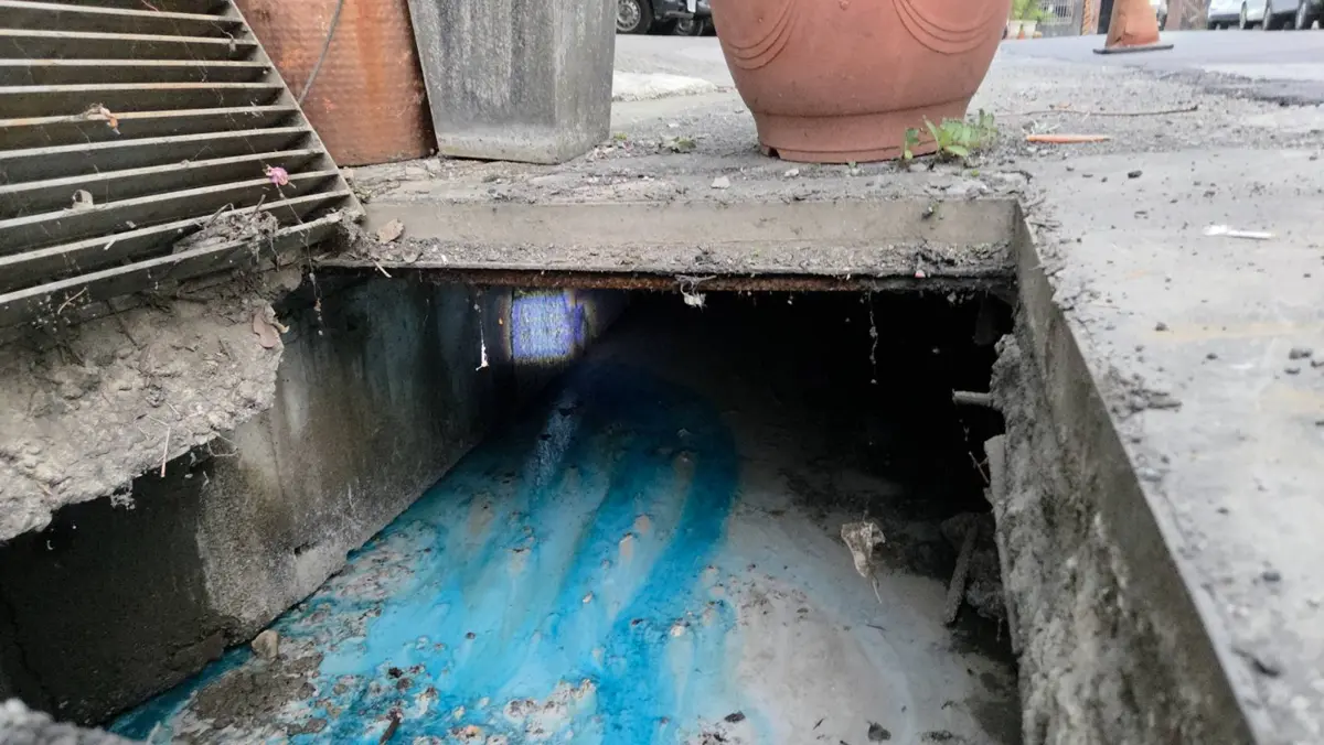 圖片來源:新北市政府