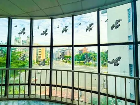 圖片來源:臺南市政府