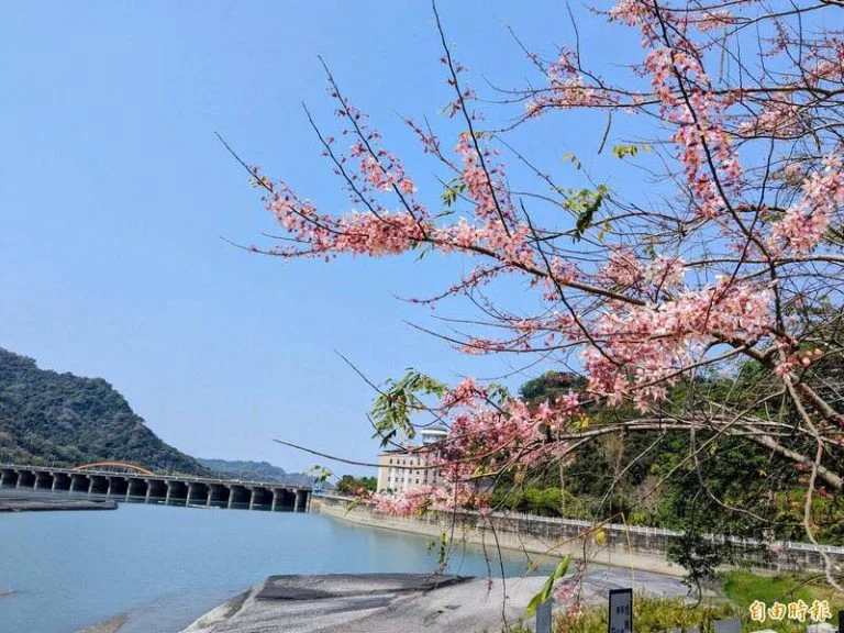 圖片來源:南投旅遊網-活動