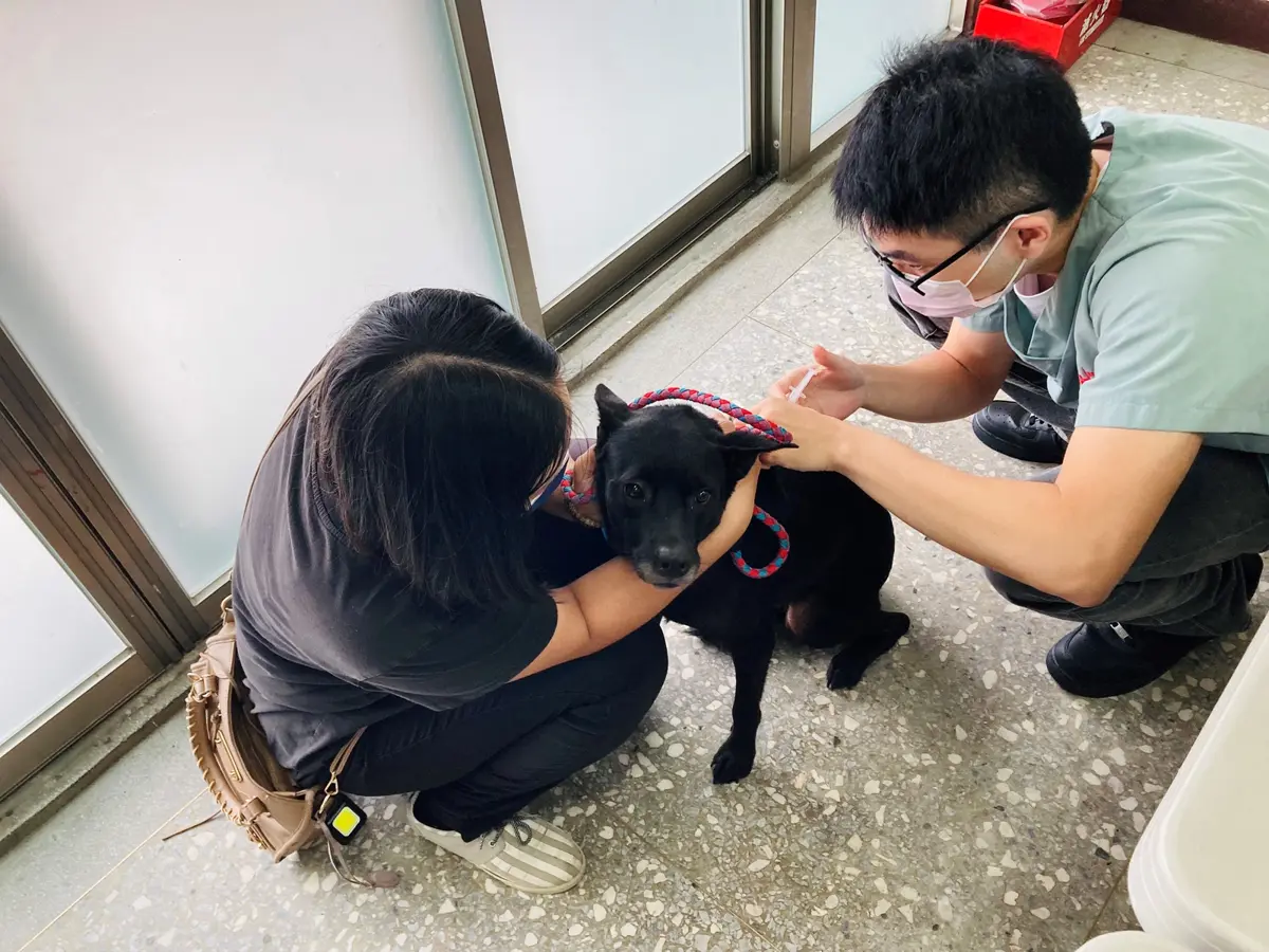 圖片來源:臺北市政府