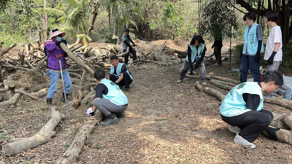 【新化好去處】虎頭埤枯樹籬步道生態大爆發!獨居蜂旅館「滿房」、鳥類驚喜築巢育雛