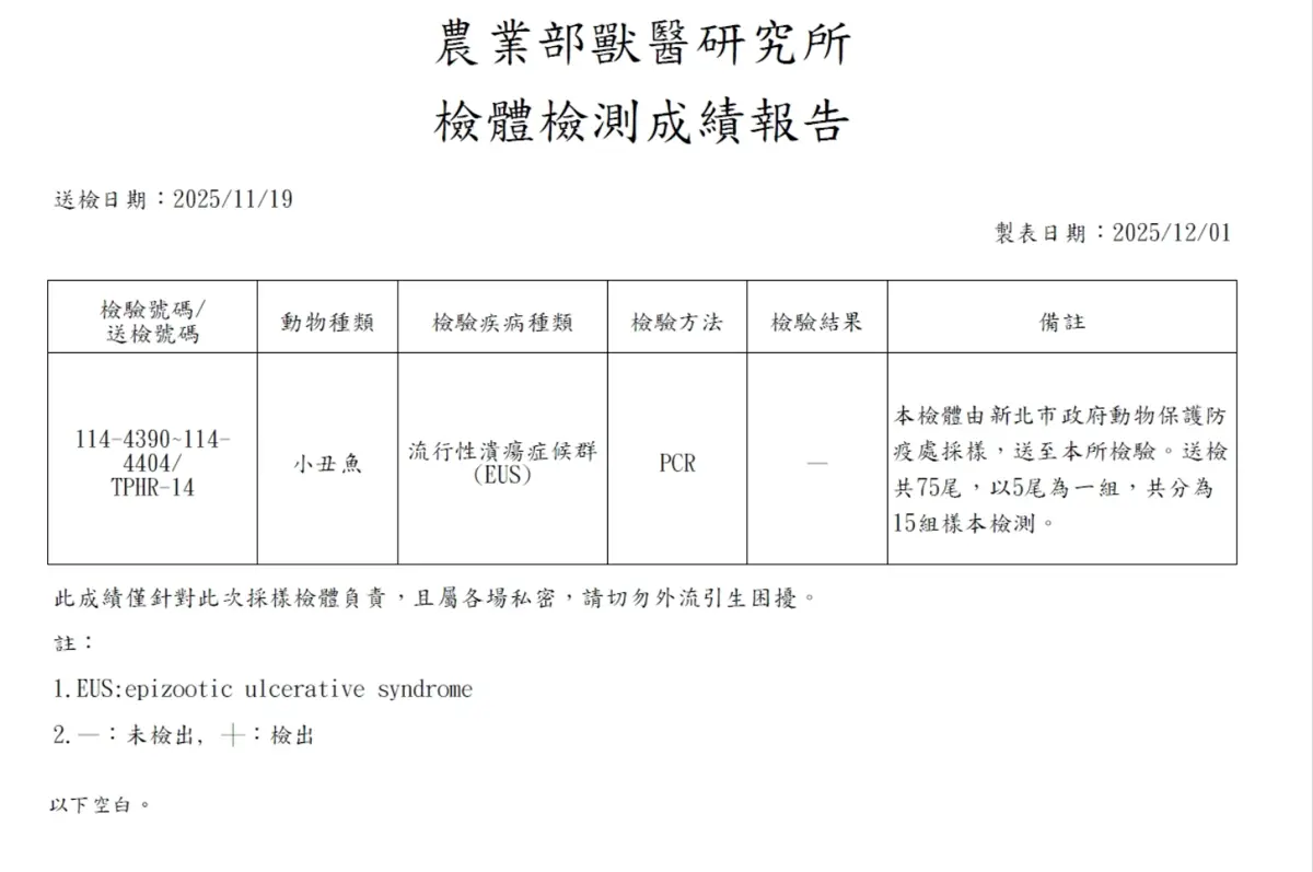 圖片來源:新北市政府