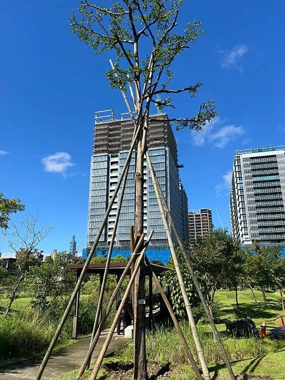 圖片來源:臺北市政府
